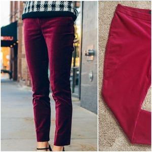 Talbots | Magenta velour velvet pants 16P